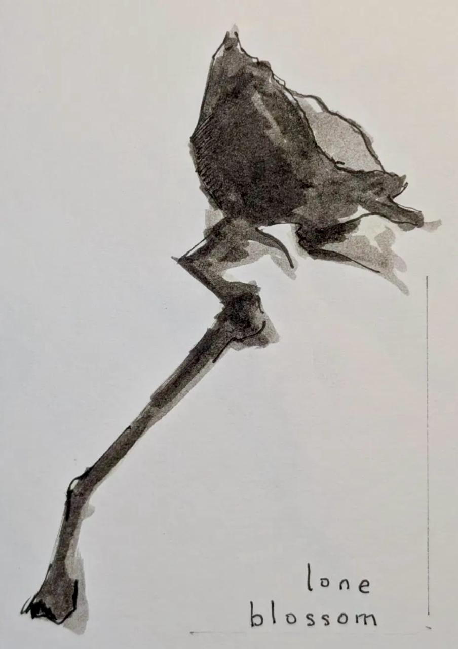 lone blossom — an ink drawing of a single wilted blossom on a long stem